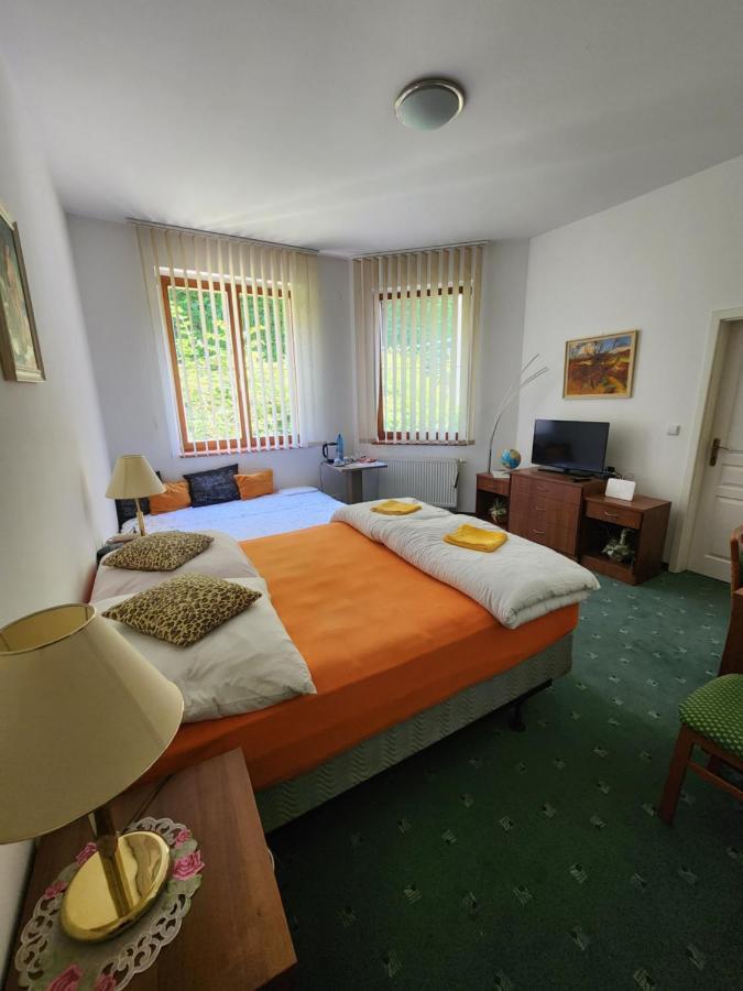 Ferienwohnung Kristoff Plaza Trencianske Teplice Trenčín Exterior foto